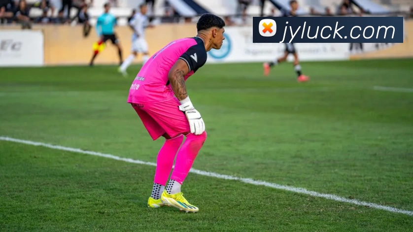 App Interface Preview